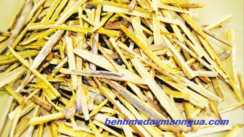 thuoc-dong-y-chua-di-ung-hieu-qua-nhat (1)