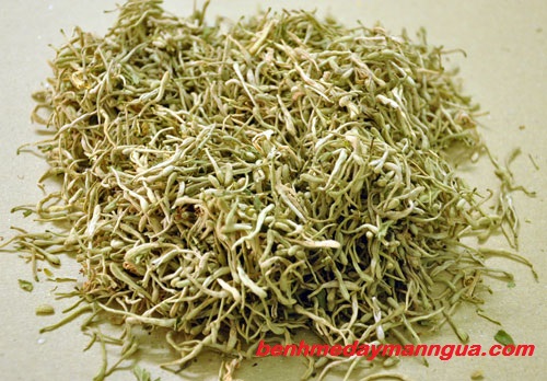 thuoc-dong-y-chua-di-ung-hieu-qua-nhat (3)