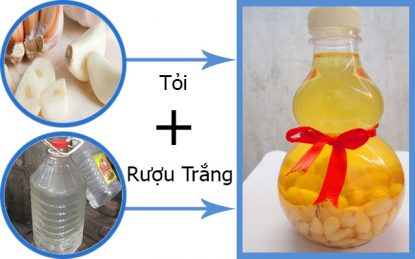 Tỏi ngâm rượu trắng chữa bệnh chàm tổ đỉa