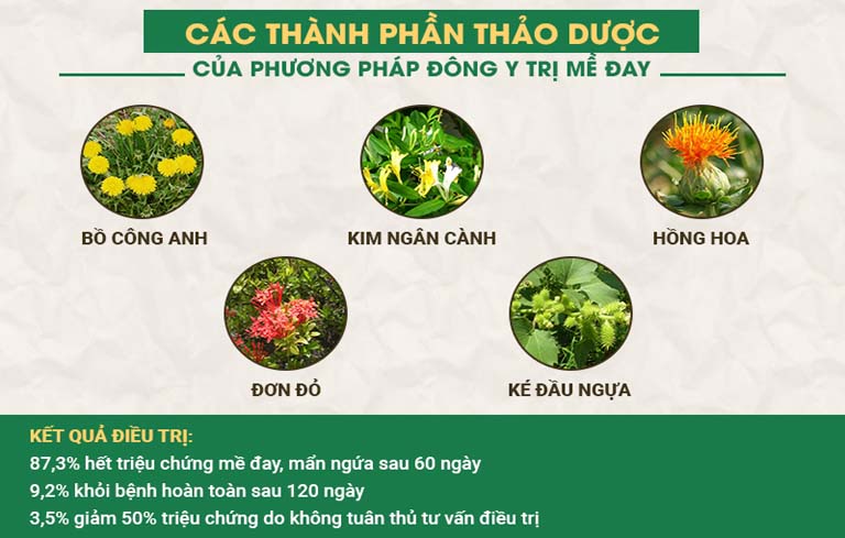 Bài thuốc Tiêu ban Giải độc thang kết hợp gần 30 vị thuốc quý