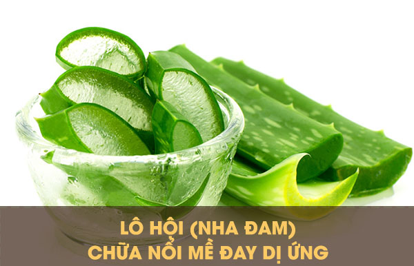 Lô hội chữa nổi mẩn ngứa da