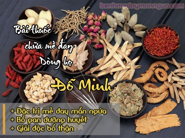 Bài thuốc đông y dòng họ Đỗ Minh chữa mề đay hiệu quả