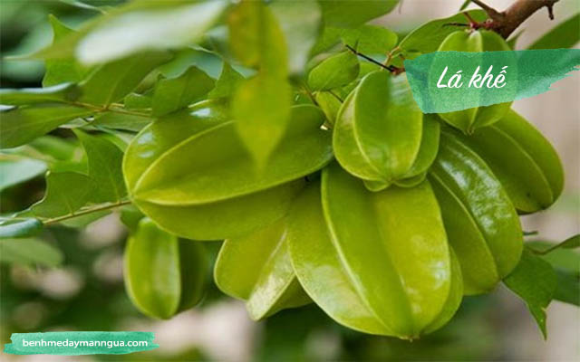chữa dị ứng da bằng lá khế