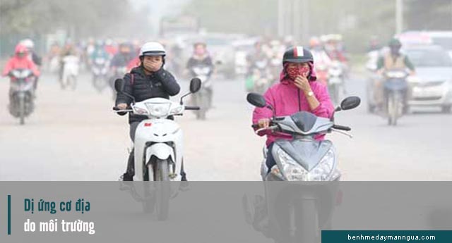 dị ứng cơ địa do môi trường