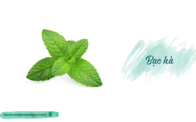 Chữa bệnh ngứa da toàn thân bằng bạc hà