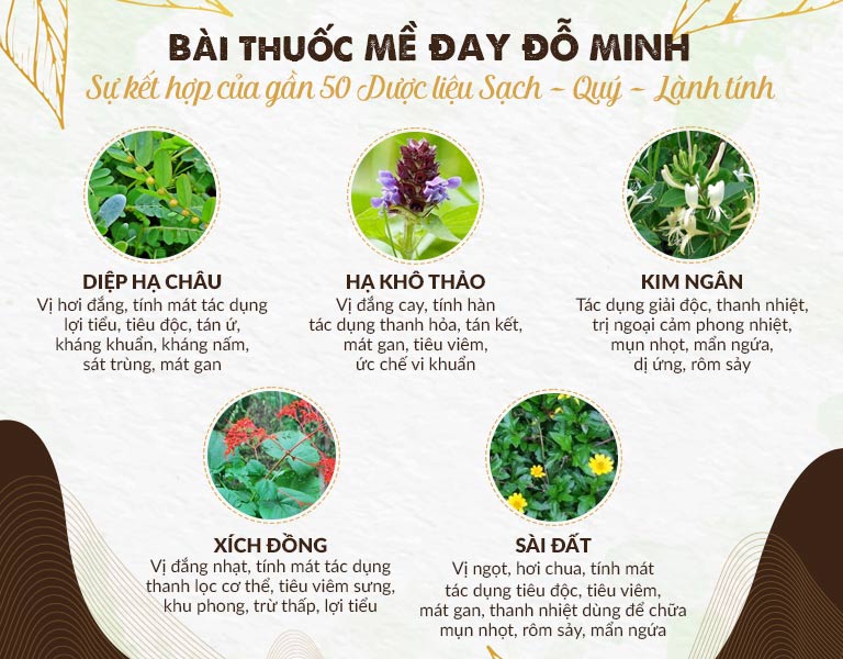 Các thành phần nổi bật của bài thuốc Mề đay Đỗ Minh