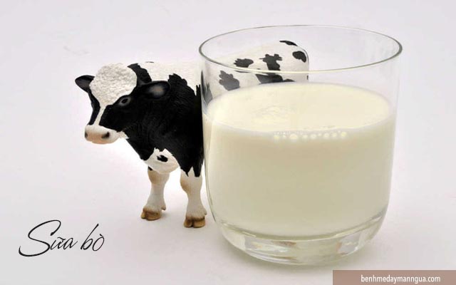 dị ứng sữa bò