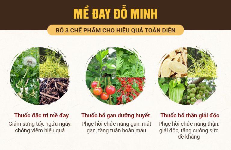 Hiệu quả toàn diện của bài thuốc Mề đay Đỗ Minh