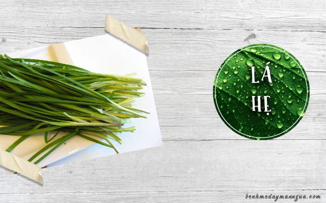 chữa bệnh mề đay mẩn ngứa bằng lá hẹ