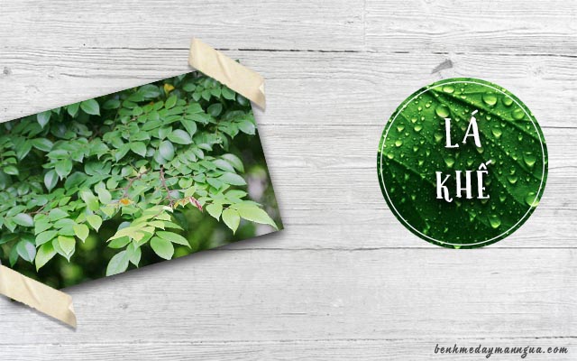 chữa mề đay bằng lá khế