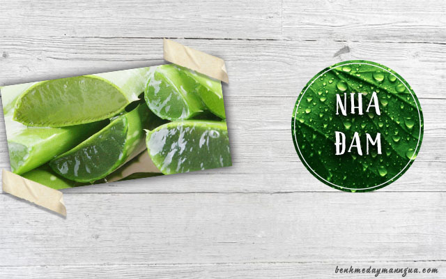 chữa ngứa da bằng nha đam
