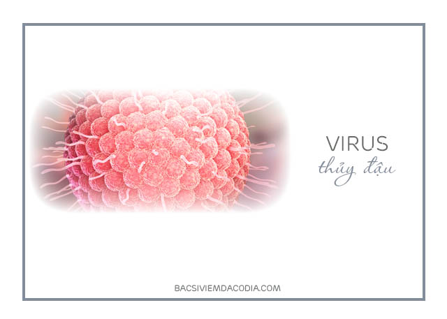 virus gây bệnh thủy đậu