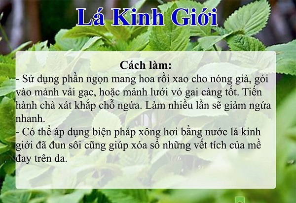 Tắm nước lá kinh giới chữa ngứa