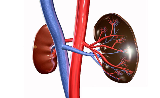 Suy thận có thể làm cho người bệnh bị ngứa toàn thân vào ban đêm