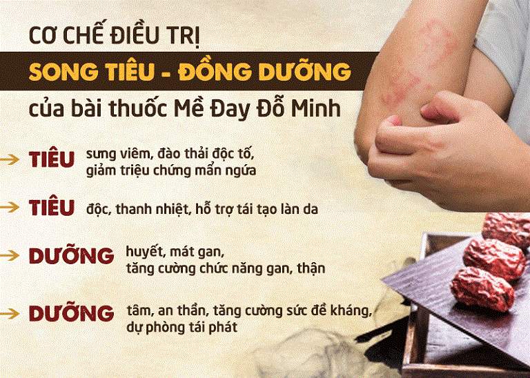 Cơ chế điều trị của bài thuốc Mề đay Đỗ Minh